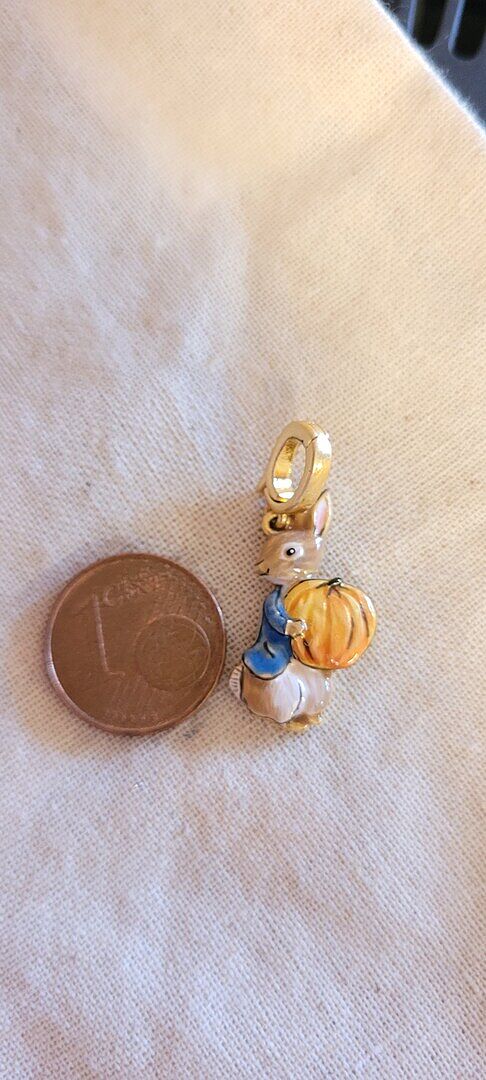 Kleiner Charm