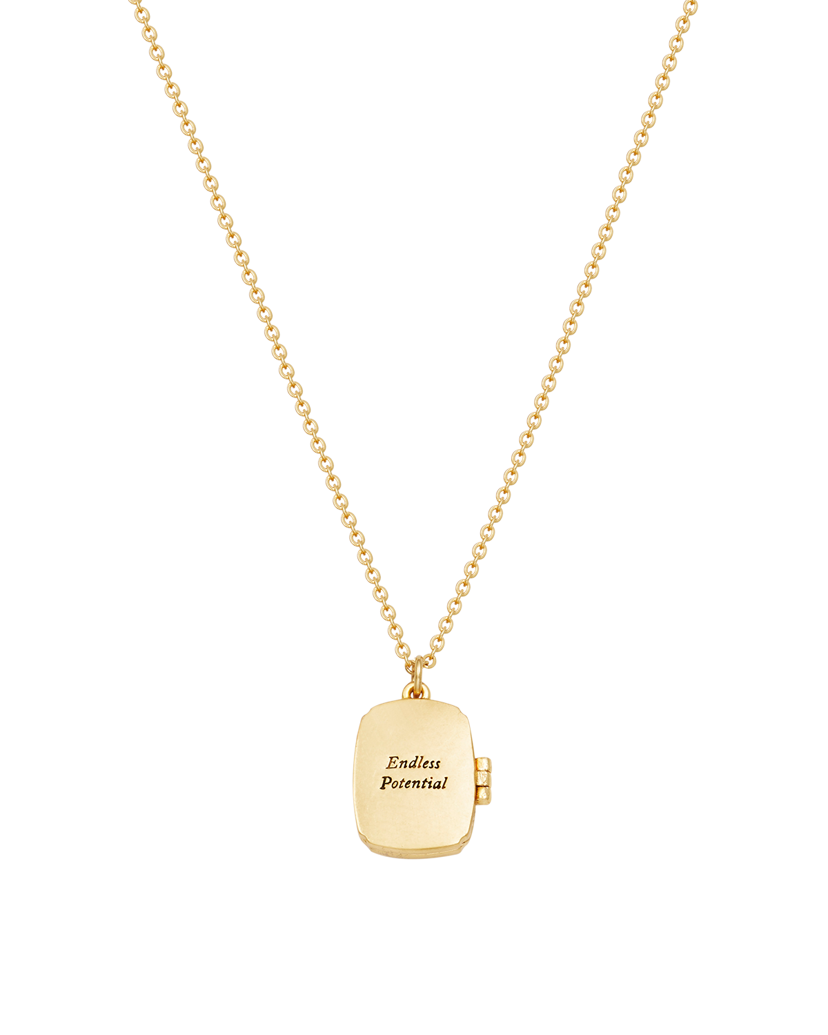 fable-england-orla-hedgerow-locket-halskette-gold-medaillon image 3