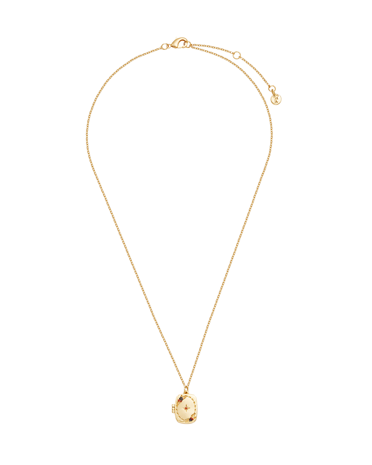 fable-england-orla-hedgerow-locket-halskette-gold-medaillon image 4