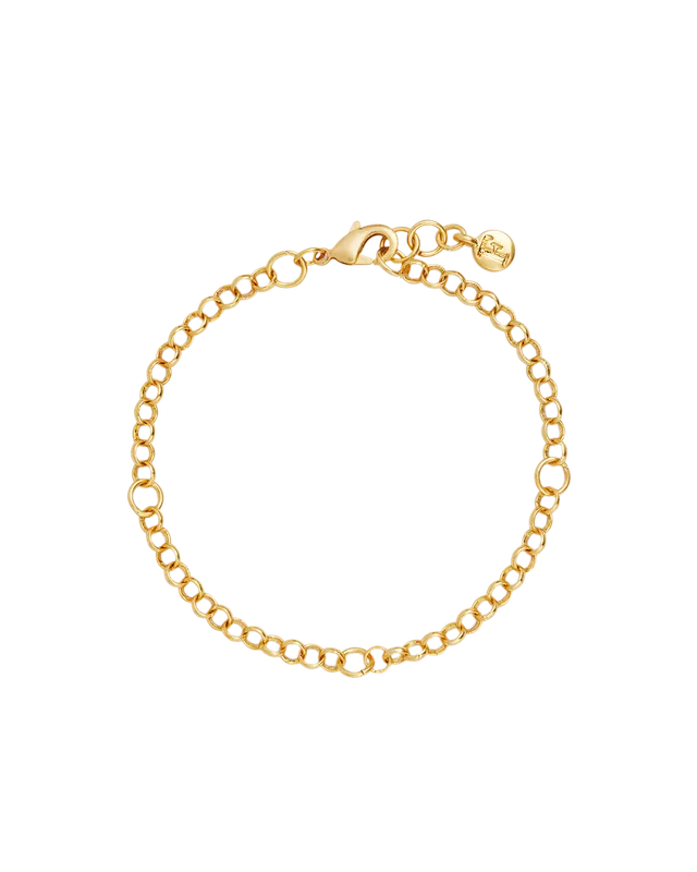 fable-england-jewellery-charm-armband-gold-kette-verstellbar image 1