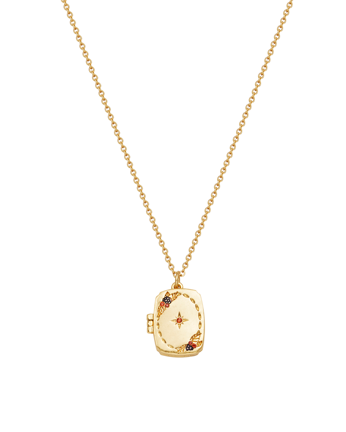 fable-england-orla-hedgerow-locket-halskette-gold-medaillon image 6