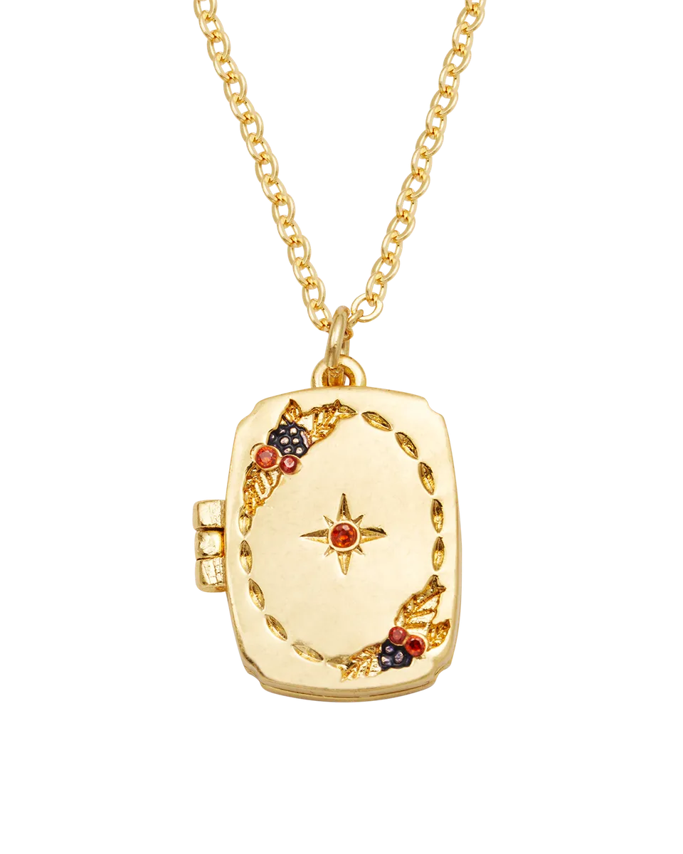 fable-england-orla-hedgerow-locket-halskette-gold-medaillon image 1