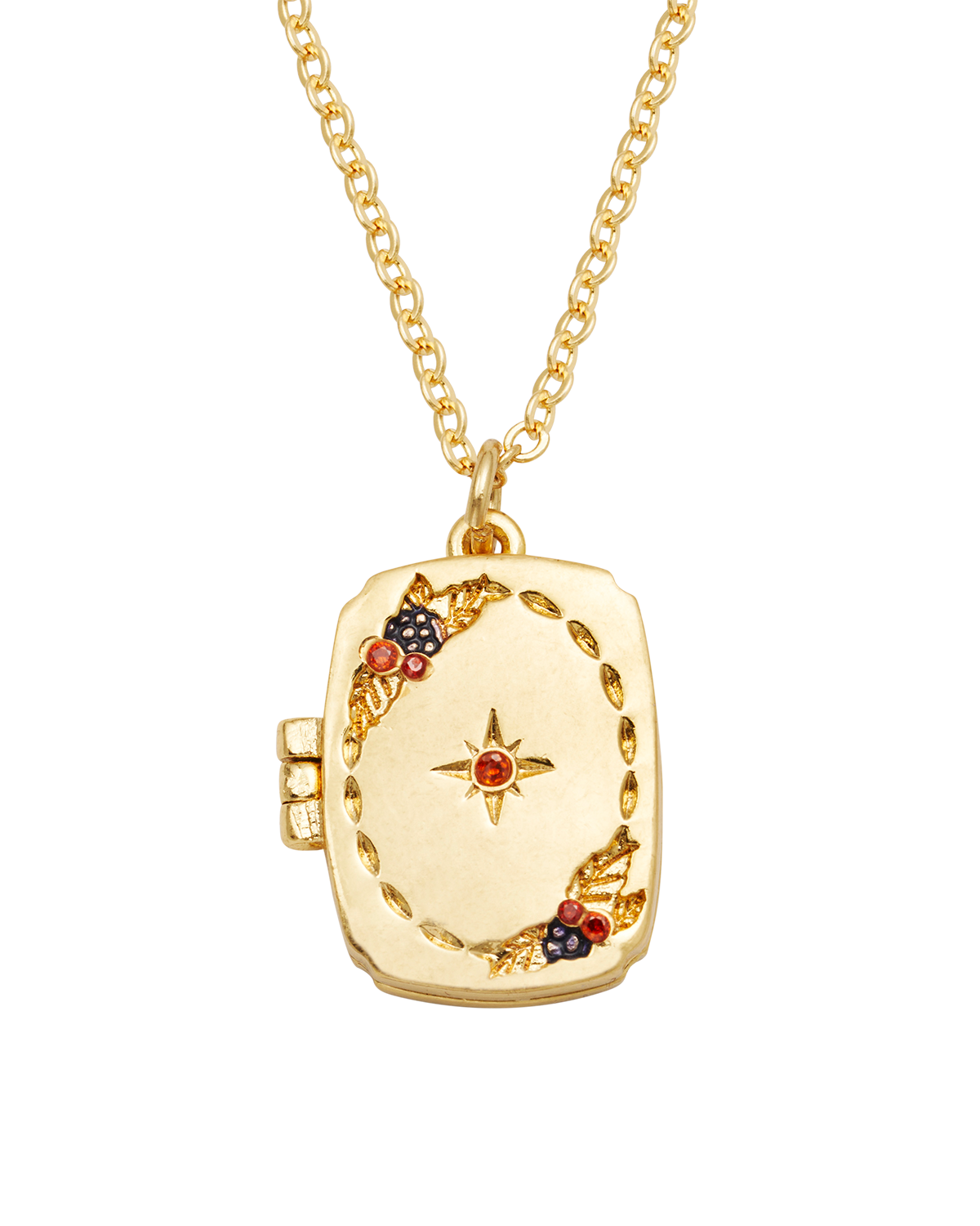fable-england-orla-hedgerow-locket-halskette-gold-medaillon image 1