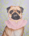 fable-england-catherine-rowe-mops-schal-blau-pet-portraits image 3