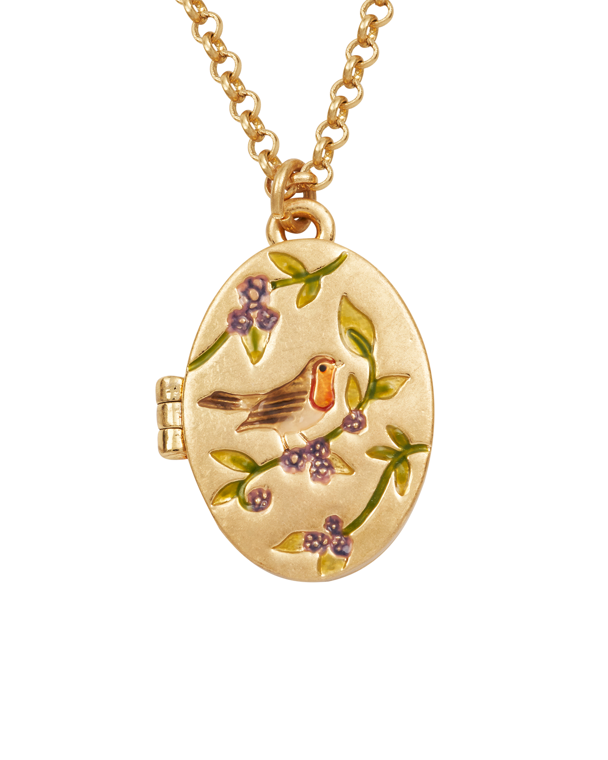 fable-england-robin-blackberry-locket-halskette-gold image 1